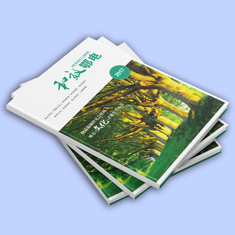 海南三亚印刷厂 产品画册 多款画册宣传册定制印刷